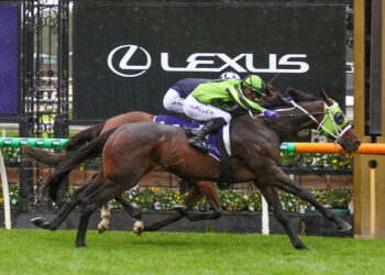 Racelab Ratings: Collum finds value plays in the 2026 Adelaide Cup