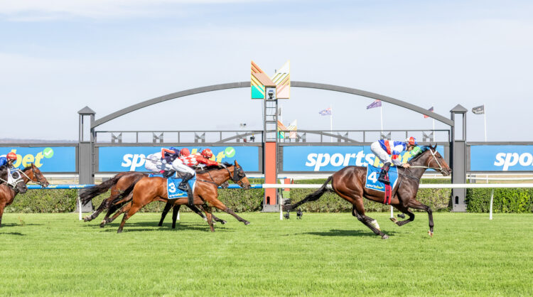 Aviatress won the 2025 Matrice Stakes