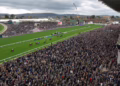 Cheltenham Festival Day 2 Tips: value plays and a big lay