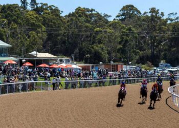 Steve Christie’s Devonport Tips: In-form analyst targets Public Holiday winners