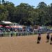 Steve Christie’s Devonport Tips: In-form analyst targets Public Holiday winners