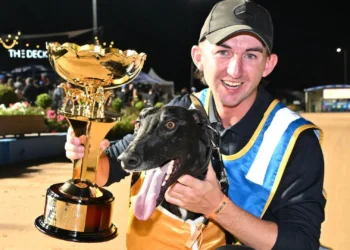 Australia's rising start of greyhound racing took out the Australian Cup (Clint Anderson)