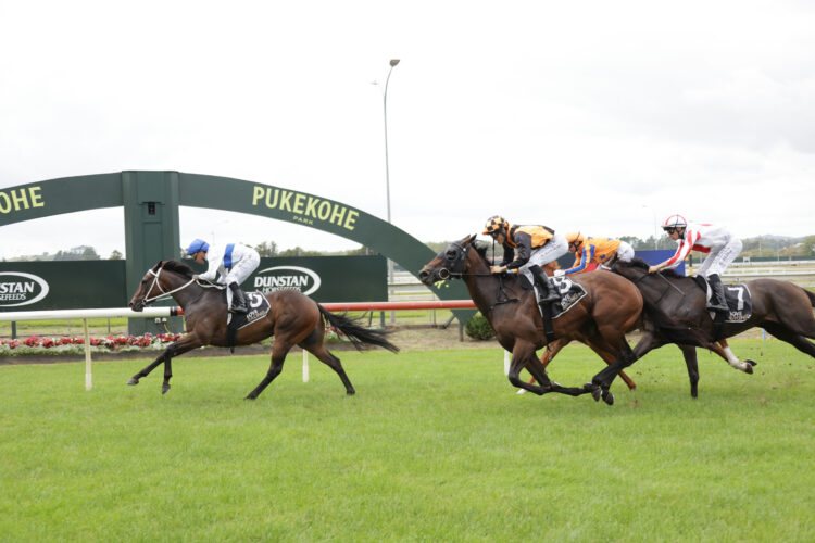 Emerging three-year-old Flashback heads to Trentham to contest the Gr.2 Taylor Property Plus Wellington Guineas on Saturday.
Photo: Kenton Wright (Race Images)