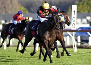 Force Of Nature was one of the headline acts at the trials last week