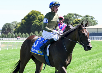 Brae Sokolski unveils new racing colours resembling Israeli flag