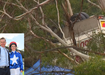 Payne stable pays tribute after truck driver, horses die in transport crash