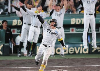 “$10 Into $280K?!” Ponybet survive Slipper Day mayhem