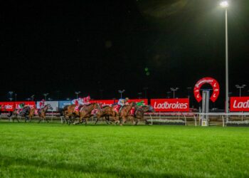 Launceston Friday Night Tips: Steve Christie’s full preview & best bets