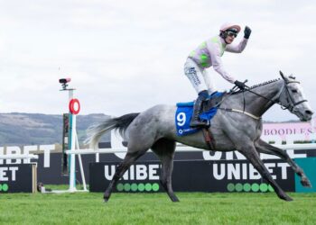 Cheltenham Festival Day 1 Tips: Inside mail for the opening day of the famous Carnival