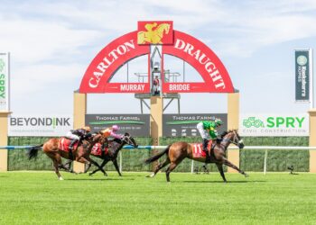 Magic Millions SA 2YO Classic: Who can strike gold at Murray Bridge?
