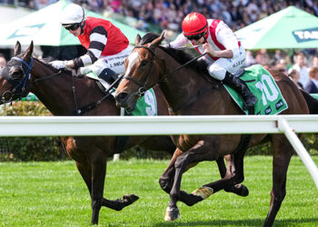 Exciting filly Mating Call is one of the key chances in Saturday's feature