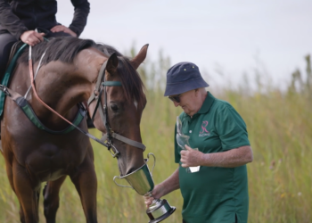 Gift horse gives battling owner Adelaide Cup dream