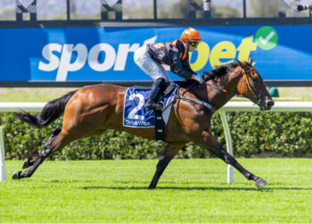 Never Ordinary, a $1250 Inglis Digital purchase once labelled “high risk,” is chasing Stakes success in the Dequetteville Stakes for trainer Byron Cozamanis.