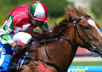 Rare ‘Skinner’ headlines winning day for Ponybet traders