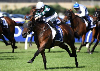 Kiwi star Ohope Wins eyes Australian debut in Vinery Stud Stakes