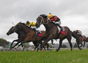 Provence chasing fairytale Finish in Group 1 Breeders’ Stakes at Trentham