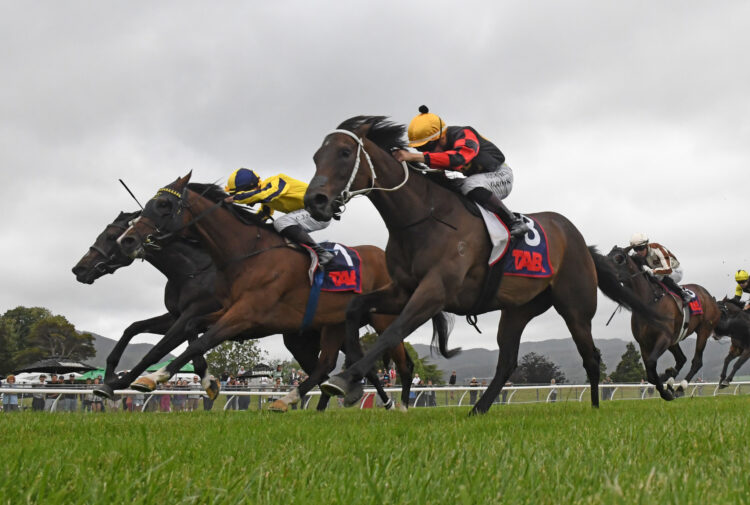 Provence (inside) will contest the Gr.1 Listen Live On Sportnation.nz NZ Thoroughbred Breeders’ Stakes (1600m) at Trentham on Saturday. Photo: Peter Rubery (Race Images)