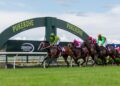 Pukekohe Tips & Preview: NZ Trial Watcher’s best bets and race-by-race analysis