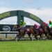 Pukekohe Tips & Preview: NZ Trial Watcher’s best bets and race-by-race analysis