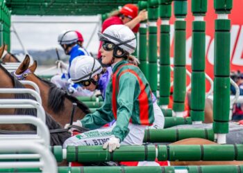 Bingley to represent Tasmania as National Apprentice Series rolls into Hobart