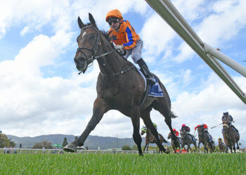 Father-and-Son quinella headlines Te Akau juvenile dominance