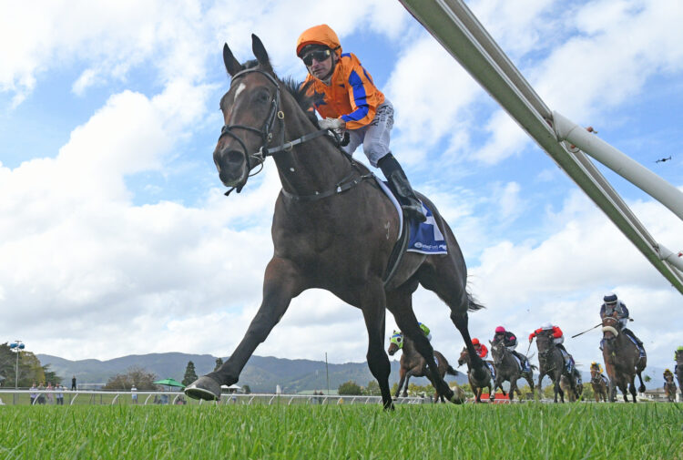 Seize The Day winning the Gr.1 Courtesy Ford Manawatu Sires’ Produce Stakes (1400m).
Photo: Peter Rubery (Race Images)