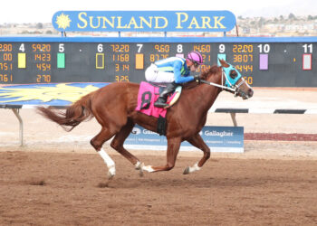 From Meydan shock to 320m madness: Inside PonyBet’s rollercoaster weekend