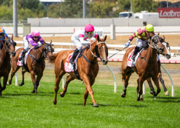 One shot left: Blacker still bullish despite St Leger scratchings