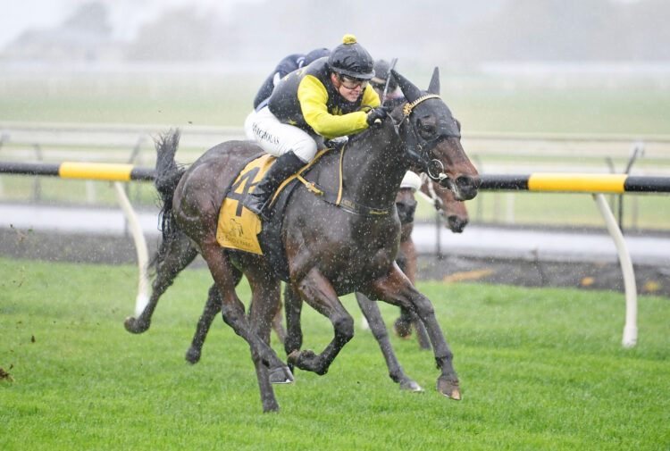 Tulsa King. Photo: Jane Davidson (Race Images)