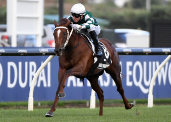 Yulong’s Kiwi buying spree set for Champions Day spotlight at Ellerslie