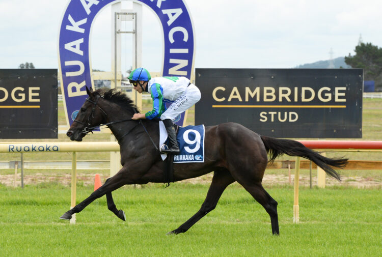 2232003 - WAIMEA BAY - WHANGAREI 6-1-2026 RACE IMAGES PHOTO THERESE DAVIS SE9_1369.jpg