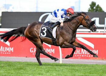 Melbourne Cup dream alive for Whisky On The Hill after Roy Higgins win