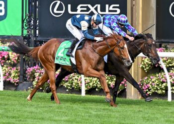 Light Infantry Man (FR) ridden by Harry Coffey wins the TAB Australian Cup at Flemington Racecourse on March 28, 2026 in Flemington, Australia. (Photo by Pat Scala/Racing Photos)