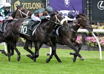 Beaten jockeys: Group 1 Newmarket Handicap