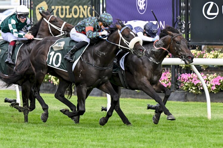 Caballus ridden by Craig Newitt wins the Yulong Newmarket Handicap at Flemington Racecourse on March 07, 2026 in Flemington, Australia. (Photo by Pat Scala/Racing Photos)