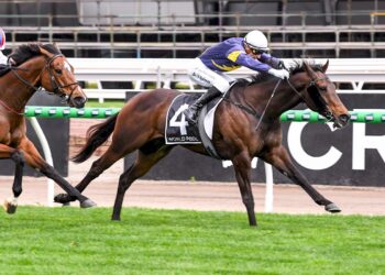 Arkansaw Kid ridden by Blake Shinn wins the Bobbie Lewis Quality at Flemington Racecourse on September 13, 2025 in Flemington, Australia. (Photo by Brett Holburt/Racing Photos)