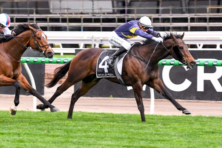 Arkansaw Kid ridden by Blake Shinn wins the Bobbie Lewis Quality at Flemington Racecourse on September 13, 2025 in Flemington, Australia. (Photo by Brett Holburt/Racing Photos)