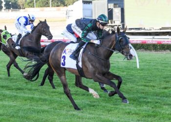 Urban Outlook ready to fire in Adelaide Cup despite wide draw