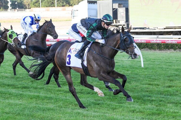 Urban Outlook (GB) ridden by Jordan Childs wins the Musk Creek Farm Handicap at Cranbourne Racecourse on February 13, 2026 in Cranbourne, Australia. (Photo by Brett Holburt/Racing Photos)