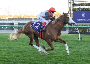 She's An Artist is rapidly becoming a bookies favourite. Credit: Racing Photos