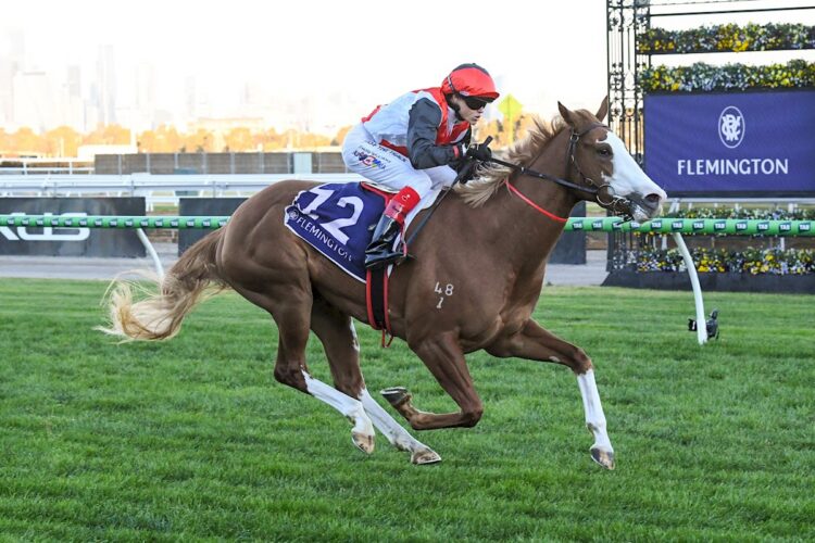 She's An Artist is rapidly becoming a bookies favourite. Credit: Racing Photos