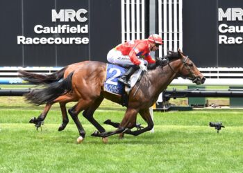 Golden Slipper blow: Star colt Eternal Warrior ruled out after ‘shattering’ injury