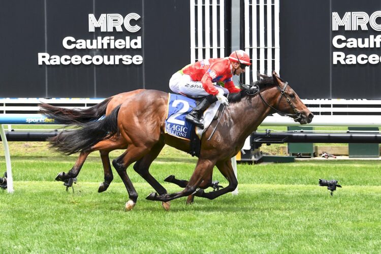 Eternal Warrior ridden by Zac Spain wins the Magic Millions Merson Cooper Stakes at Caulfield Racecourse on November 29, 2025 in Caulfield, Australia. (Photo by Brett Holburt/Racing Photos)