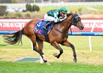 Tycoon Star set for ‘Reserve Bank’ path in Goodwood bid