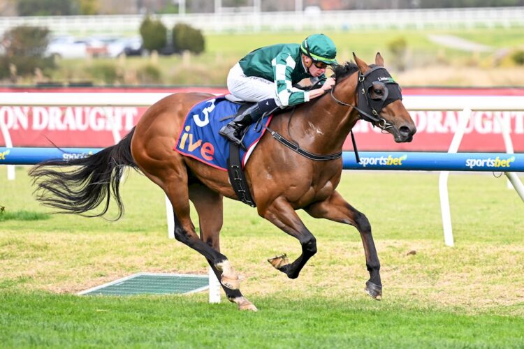 Tycoon Star ridden by Michael Dee wins the  McNeil Stakes at Caulfield Racecourse on August 30, 2025 in Caulfield, Australia. (Photo by Pat Scala/Racing Photos)