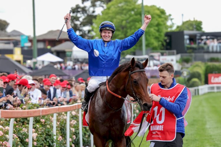 James McDonald returns to the mounting yard aboard Anamoe after winning the Cox Plate at Moonee Valley Racecourse on October 22, 2022 in Moonee Ponds, Australia. (Photo by George Sal/Racing Photos)