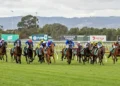 ‘Full fields first’: How South Australian Racing is beating the national trend