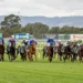 ‘Full fields first’: How South Australian Racing is beating the national trend