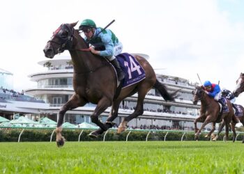 Buy, Hold, Sell: Australian Cup Day delivers a proper racing spectacle