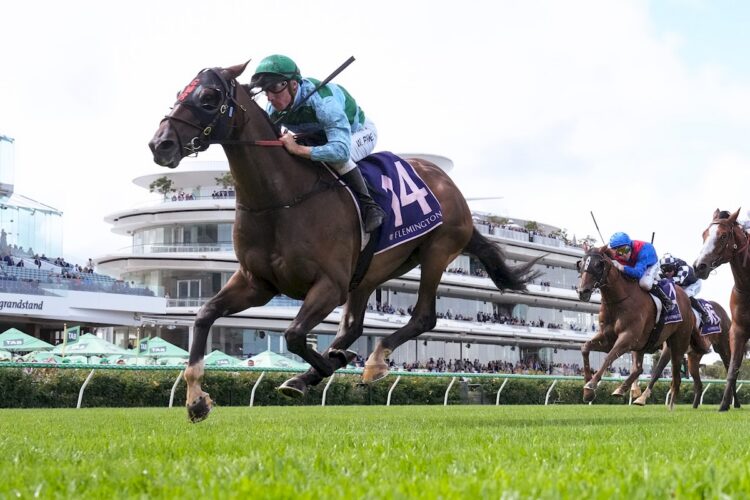 Zakouma ridden by William Pike wins the The Curragh, Where Champions Are Made, Handicap at Flemington Racecourse on March 28, 2026 in Flemington, Australia. (Photo by George Sal/Racing Photos)